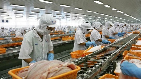 中国是越南楂鱼的最大出口市场- Ảnh 1.