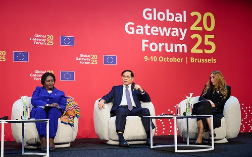 越南坚持多边主义，促进国际合作，遵守国际法和联合国宪章