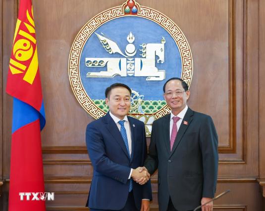 越共中央委员、国会副主席陈光方访问蒙古- Ảnh 1.