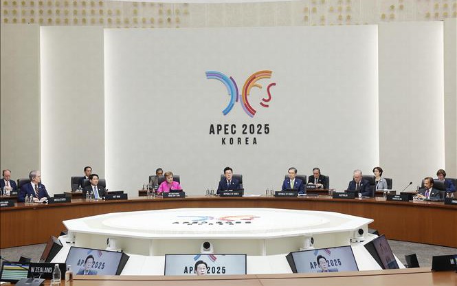 越南国家主席梁强在亚太经合组织第三十二次领导人非正式会议第一阶段会议上提出3点建议