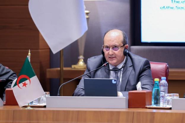 越南阿尔及利亚两国关系提升为战略伙伴关系- Ảnh 3. 越南阿尔及利亚两国关系提升为战略伙伴关系- Ảnh 3.