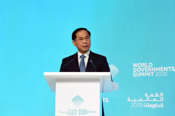 越南政府副总理裴青山：世界需要以新思维，新举措，新融合促进可持续发展- Ảnh 1.