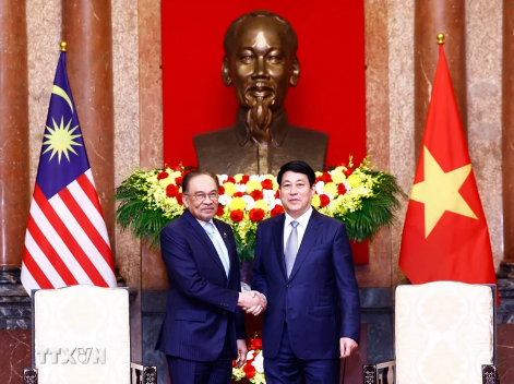 国家主席梁强会见马来西亚总理安瓦尔·易卜拉欣- Ảnh 1.