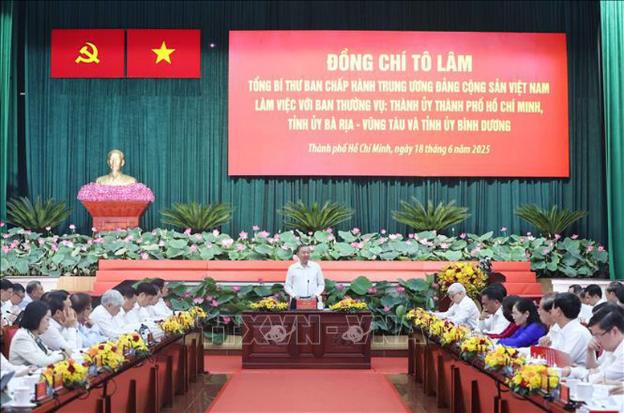 苏林总书记：胡志明市努力向国际大都市的目标迈进- Ảnh 3.