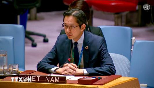 越南呼吁国际社会加强多边主义，以和平方式解决争端- Ảnh 1.