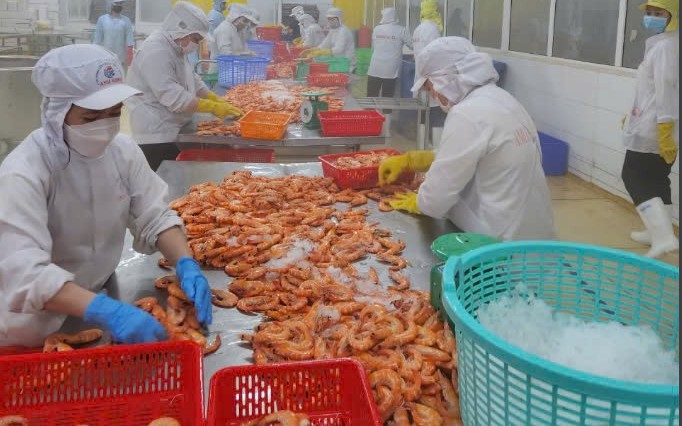 渣打银行下调越南2025年GDP增长预测至6.1%