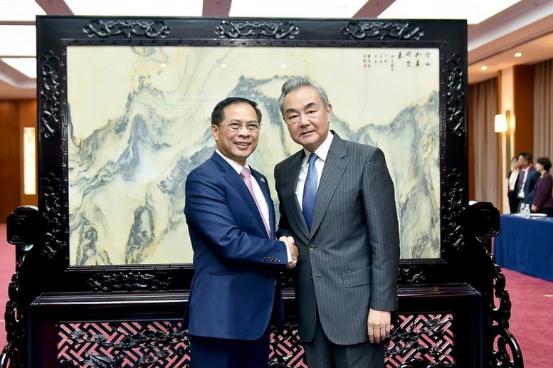越南政府副总理兼外长裴青山会见中国外交部长王毅- Ảnh 1.