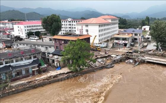 https://bcp.cdnchinhphu.vn/359255642496790528/2025/8/3/photo-1754228590757-1754228591054344956911-0-0-350-560-crop-17542286115441290128291.jpg