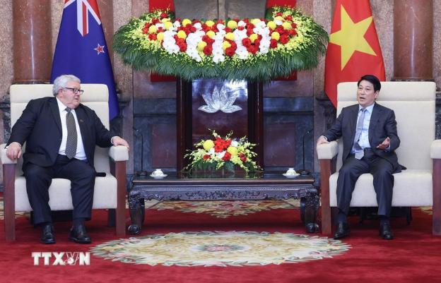 越南国家主席梁强会见新西兰议会议长- Ảnh 1.