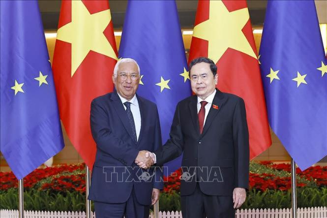 photo-1769741728942 photo-1769741728942