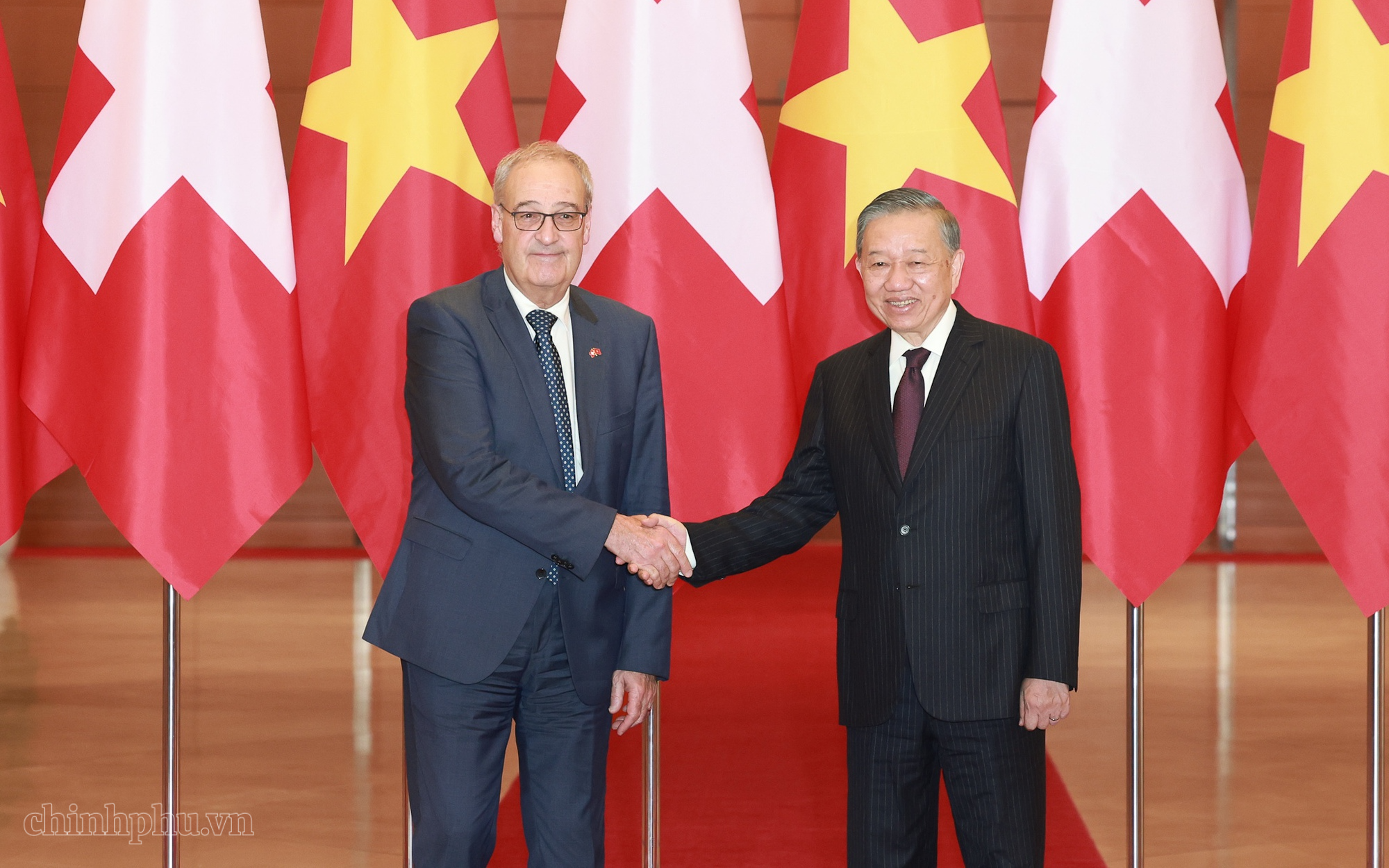 越共中央总书记、国家主席苏林与瑞士联邦主席居伊·帕姆兰举行会谈