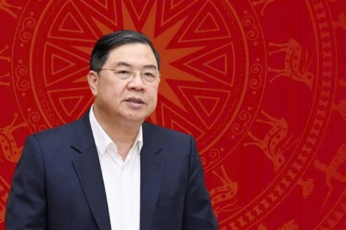 越南政府总理和副总理分工决定- Ảnh 2.