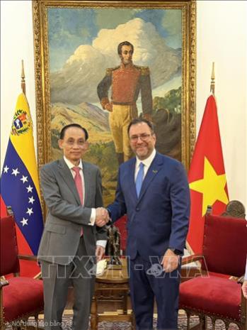 越共中央政治局委员、外交部长黎怀忠对委内瑞拉进行正式访问- Ảnh 2.