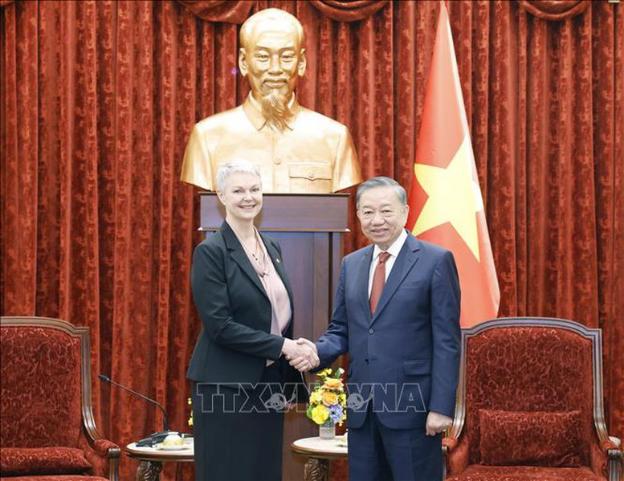 越共中央总书记、国家主席苏林会见比利时、挪威、荷兰、巴西驻越大使- Ảnh 2. 越共中央总书记、国家主席苏林会见比利时、挪威、荷兰、巴西驻越大使- Ảnh 2.