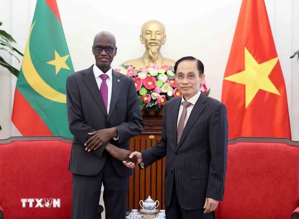 越南推动与毛里塔尼亚及非洲各国的务实合作- Ảnh 1.
