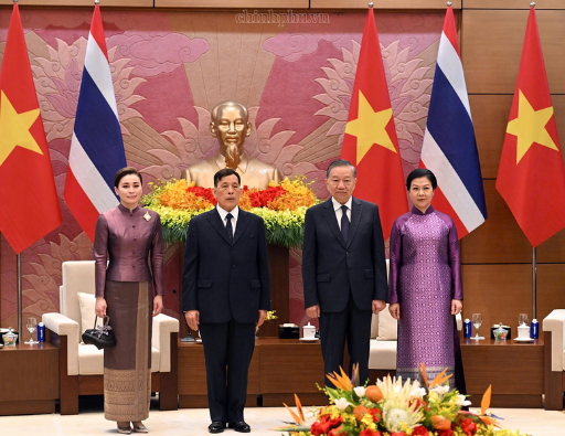 越共中央总书记、国家主席苏林举行仪式 欢迎泰国国王玛哈·哇集拉隆功访越- Ảnh 4.