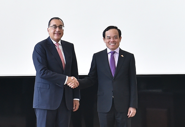 Chùm ảnh: Phó Thủ tướng Trần Lưu Quang thăm chính thức Ai Cập - Ảnh 13.