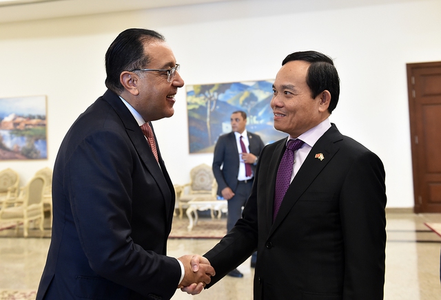 Chùm ảnh: Phó Thủ tướng Trần Lưu Quang thăm chính thức Ai Cập - Ảnh 14.