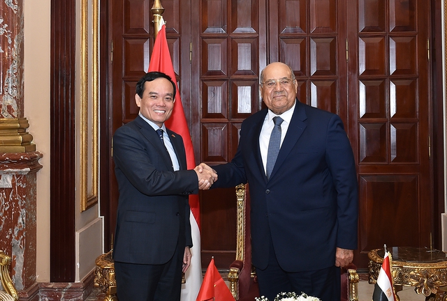 Chùm ảnh: Phó Thủ tướng Trần Lưu Quang thăm chính thức Ai Cập - Ảnh 5.