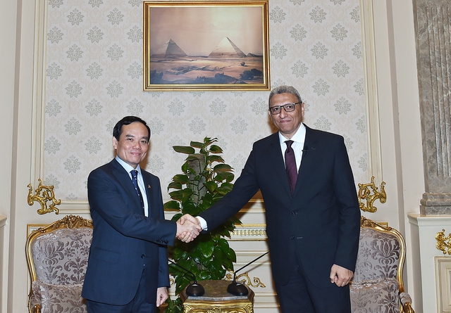 Chùm ảnh: Phó Thủ tướng Trần Lưu Quang thăm chính thức Ai Cập - Ảnh 6.