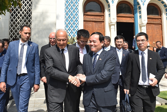 Chùm ảnh: Phó Thủ tướng Trần Lưu Quang thăm chính thức Ai Cập - Ảnh 7.