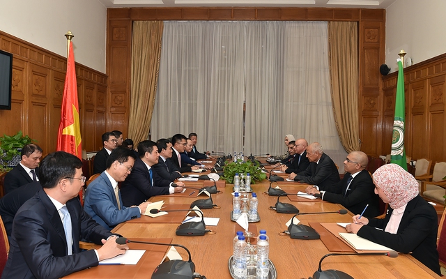 Chùm ảnh: Phó Thủ tướng Trần Lưu Quang thăm chính thức Ai Cập - Ảnh 8.