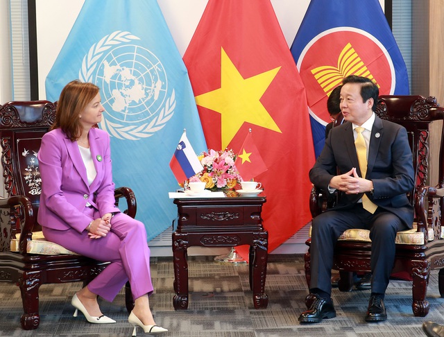 Hoạt động của Phó Thủ tướng Trần Hồng Hà tại Hội nghị cấp cao của Liên Hợp Quốc về nước - Ảnh 12.