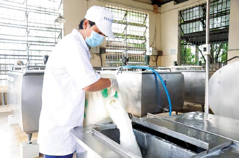 Vinamilk mua sữa nguyên liệu từ các hộ chăn nuôi: Vinamilk là một thương hiệu sữa lớn ở Việt Nam và được rất nhiều người tiêu dùng tin tưởng. Hình ảnh liên quan đến Vinamilk sẽ giúp bạn hiểu rõ hơn về quy trình sản xuất sản phẩm sữa của họ, đặc biệt là việc mua sữa nguyên liệu từ các hộ chăn nuôi.