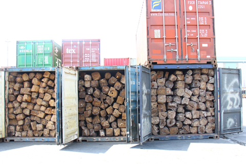 Phong tỏa 11 container gỗ lậu trị giá 15 tỷ đồng