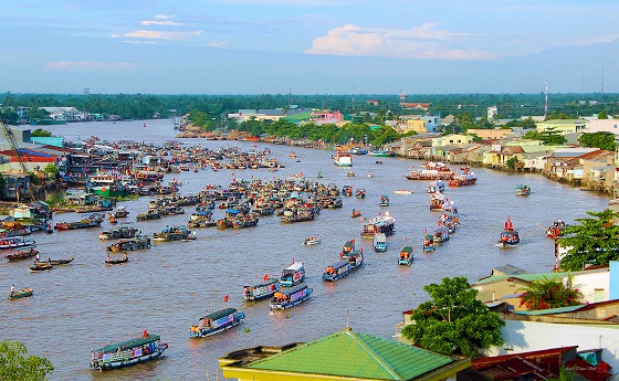 Cần Thơ phát triển mạnh 'đặc sản' du lịch miệt vườn, sông nước