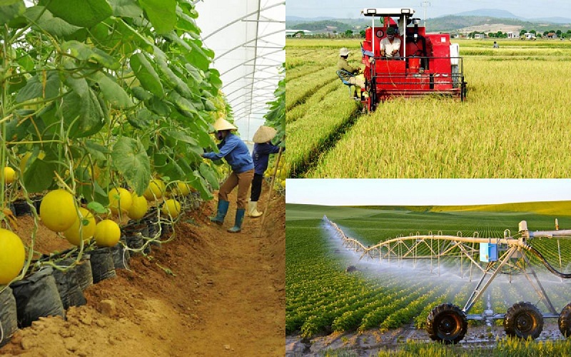 Chuyển hướng sản xuất nông nghiệp hữu cơ  Báo Dân tộc và Phát triển