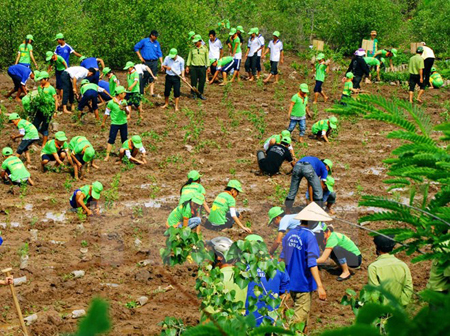 Biến đổi khí hậu Áp dụng những biện pháp thuận thiên để ứng phó