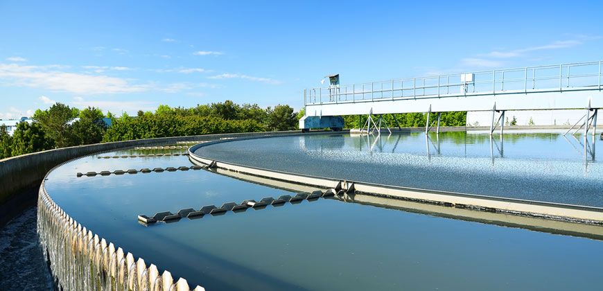 Pháp lý môi trường