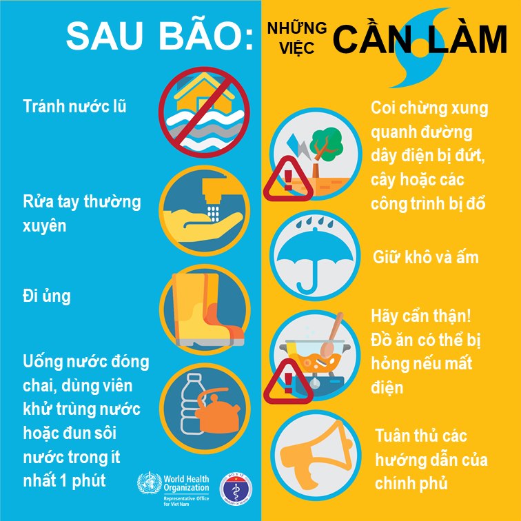 Cách Phòng Tránh Bão: Hướng Dẫn Chi Tiết và Hiệu Quả