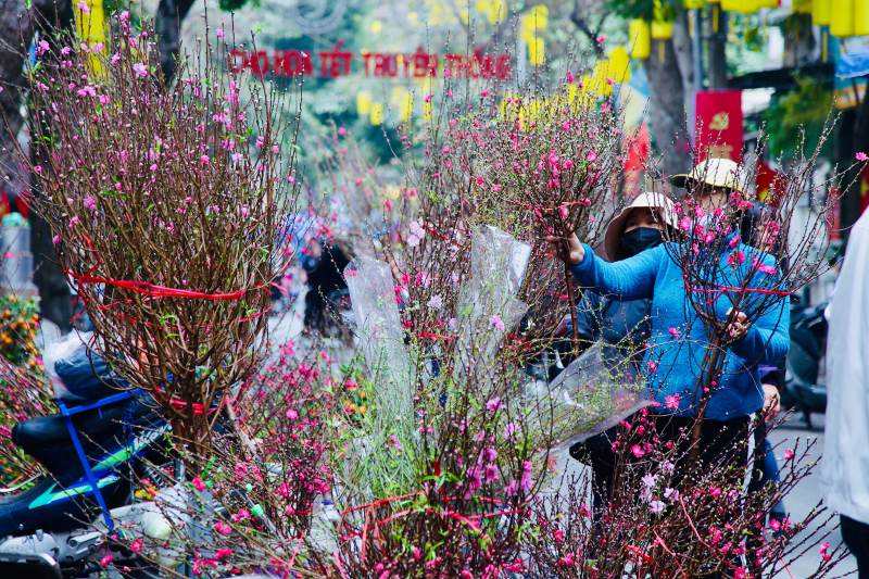 Chợ hoa Tết: Hãy hòa mình vào không khí tưng bừng của chợ hoa Tết với bao nhiêu màu sắc và hương thơm tràn đầy khắp nơi. Hãy cùng chiêm ngưỡng những sản vật thủ công độc đáo của người Việt, mang đậm tinh thần Tết truyền thống.