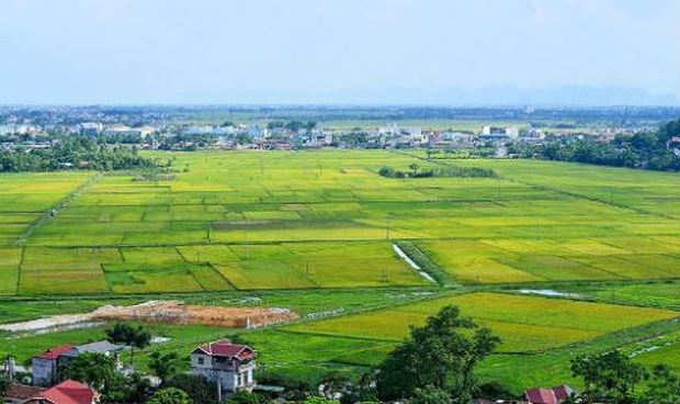 thuê đất nông nghiệp