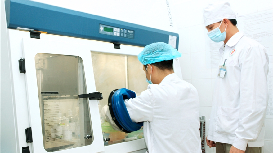 Sản xuất và pha chế thuốc tại công ty, nhà máy dược phẩm