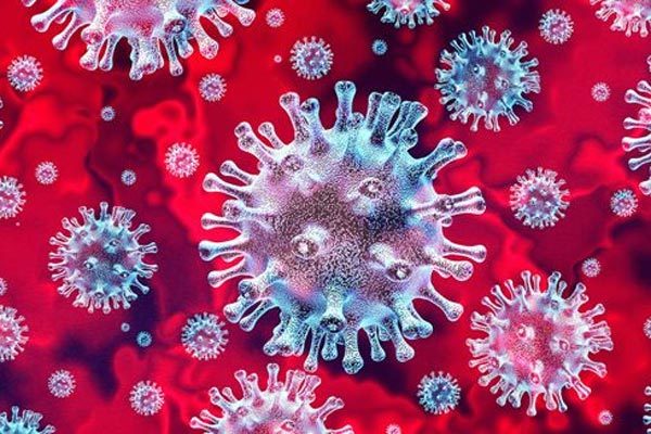 Virus mới nhất hiện nay: Tình hình và biện pháp ứng phó