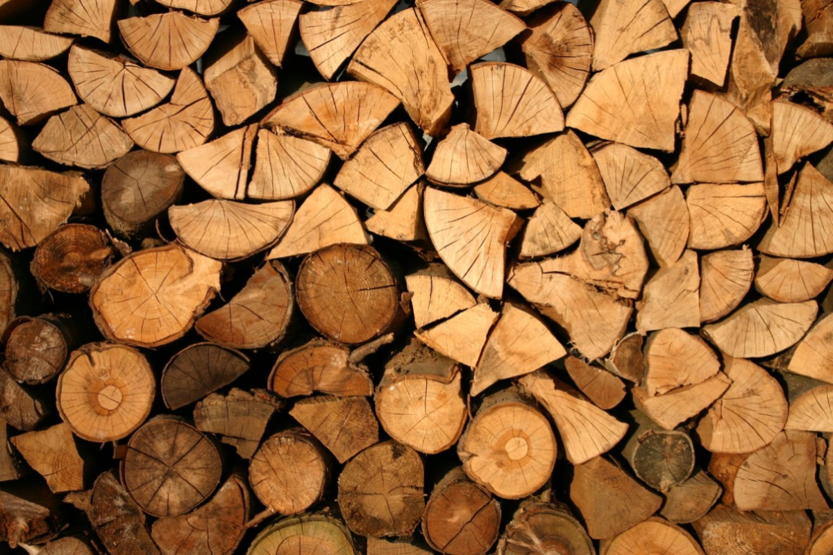 Hồ sơ đề nghị cấp giấy phép nhập khẩu gỗ thuộc danh mục CITES