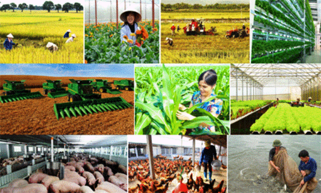 Quảng Ninh phát triển mô hình nông nghiệp kết hợp du lịch