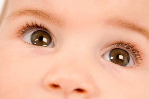 Tế bào gốc và võng mạc là những chủ đề thú vị về sức khỏe mắt. Nghiên cứu mới đây cho thấy, tế bào gốc có thể giúp phục hồi các vấn đề về thị lực. Hãy xem hình về võng mạc và tế bào gốc để hiểu thêm về những tiến bộ trong lĩnh vực này.