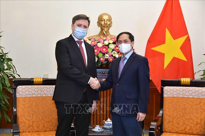 越南感谢波兰政府和人民向越南疫情防控工作提供援助
