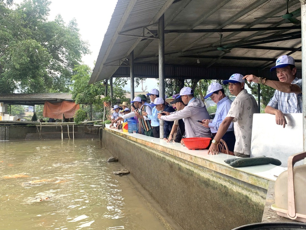 Dựng sinh kế bền vững cho lao động dân tộc thiểu số (BÀI 1)- Ảnh 5.