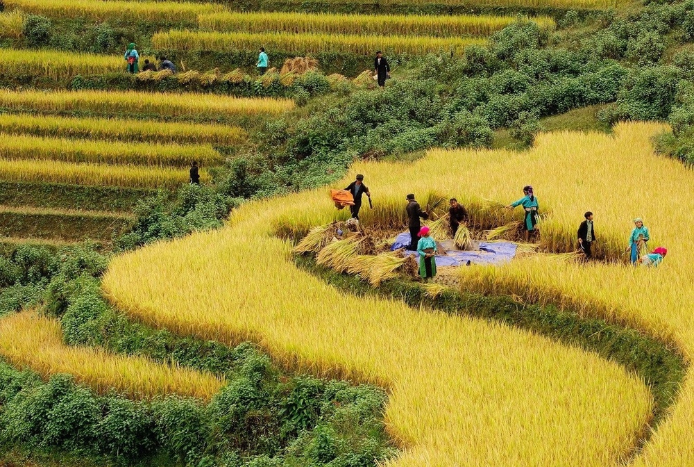 Dựng sinh kế bền vững cho lao động dân tộc thiểu số (BÀI 1)- Ảnh 9.