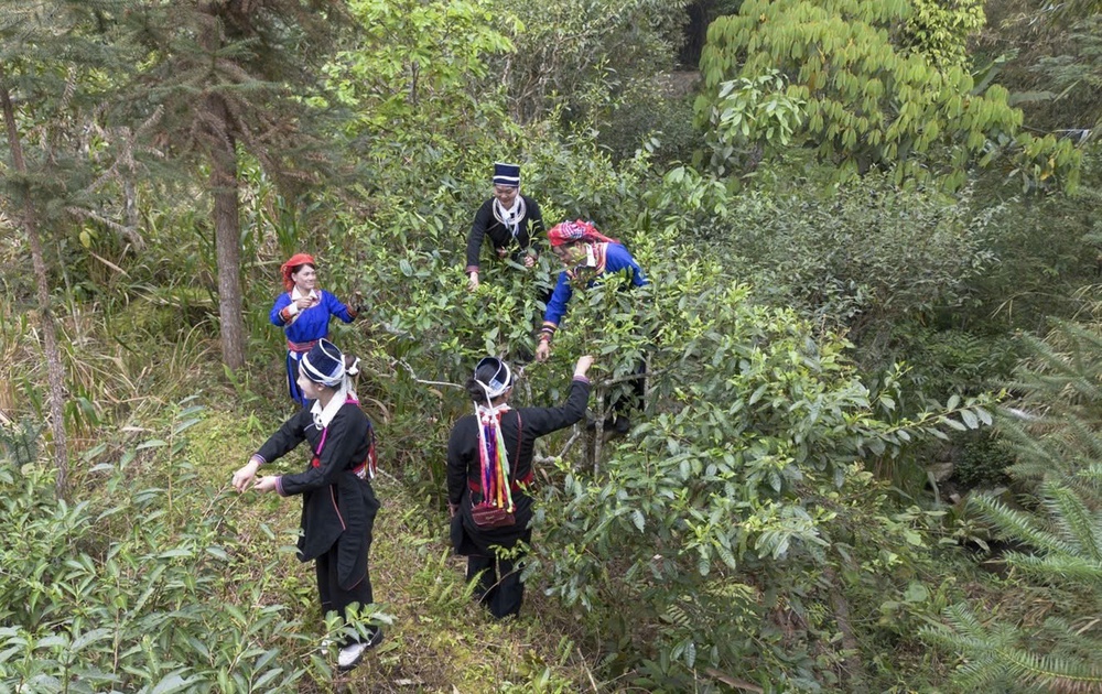 Phát dương văn hóa các dân tộc thiểu số từ Nghị quyết 80 - Bài 1: Giữ bản sắc, dựng tương lai- Ảnh 7.