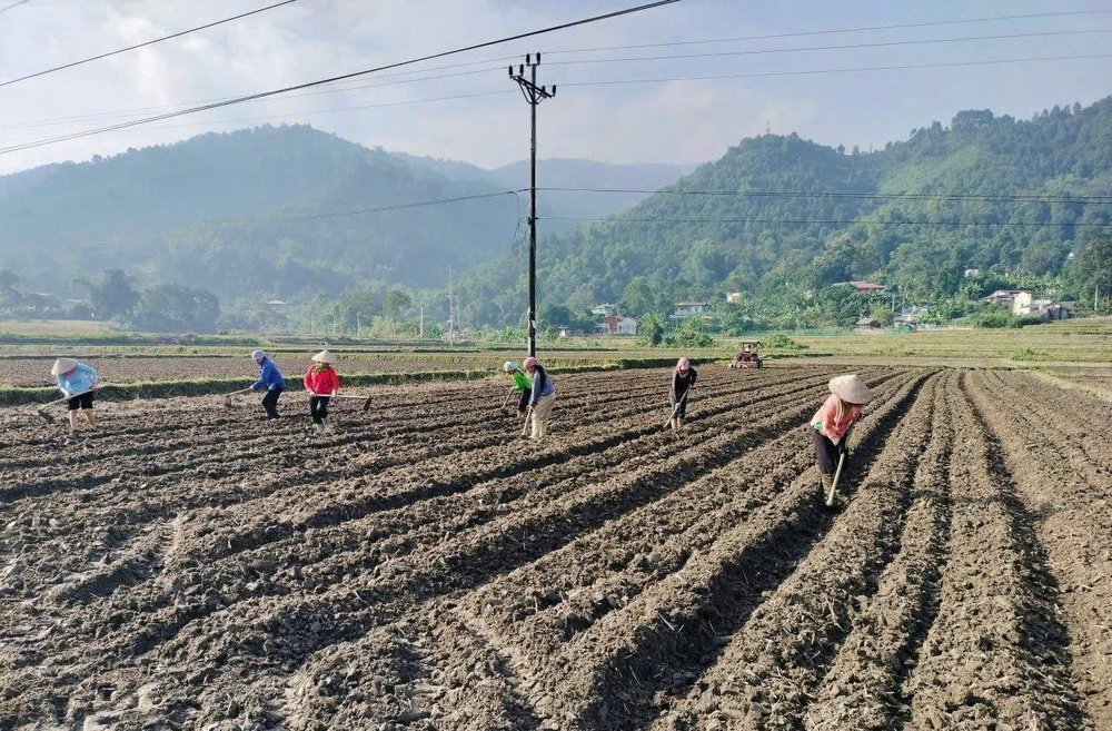 Khi bản làng bước vào không gian số (BÀI 1)- Ảnh 3.