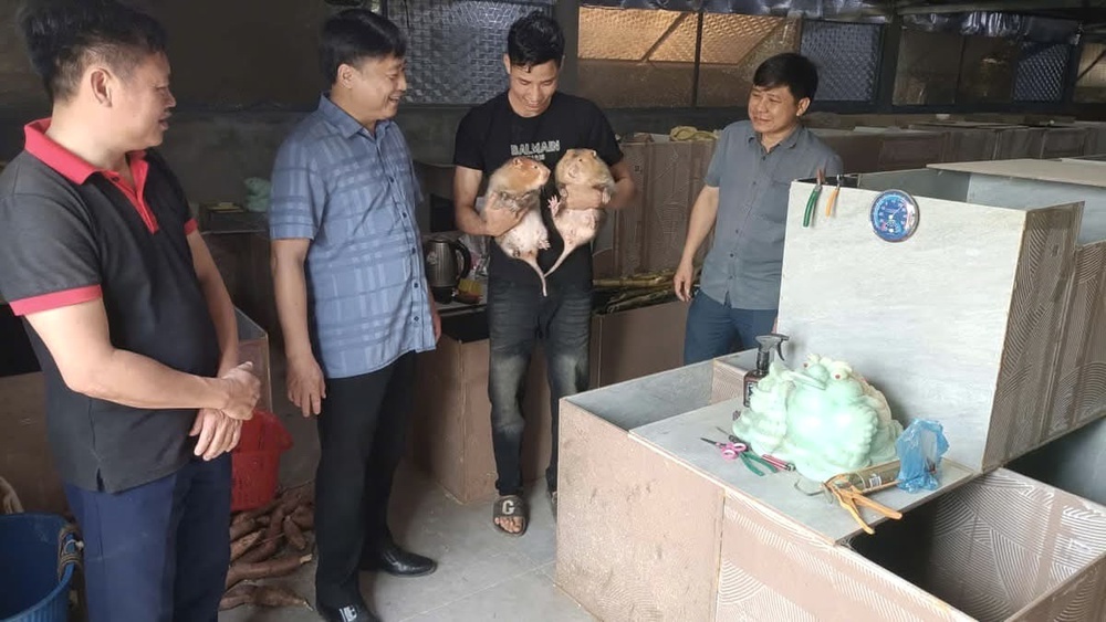Internet mở lối sinh kế ở vùng cao (BÀI 2)- Ảnh 4.