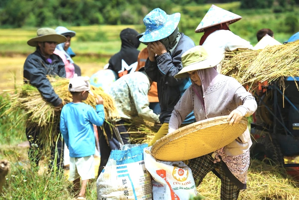 ‘Giải mã’ mắt xích trong chính sách đất đai cho đồng bào dân tộc thiểu số- Ảnh 4.