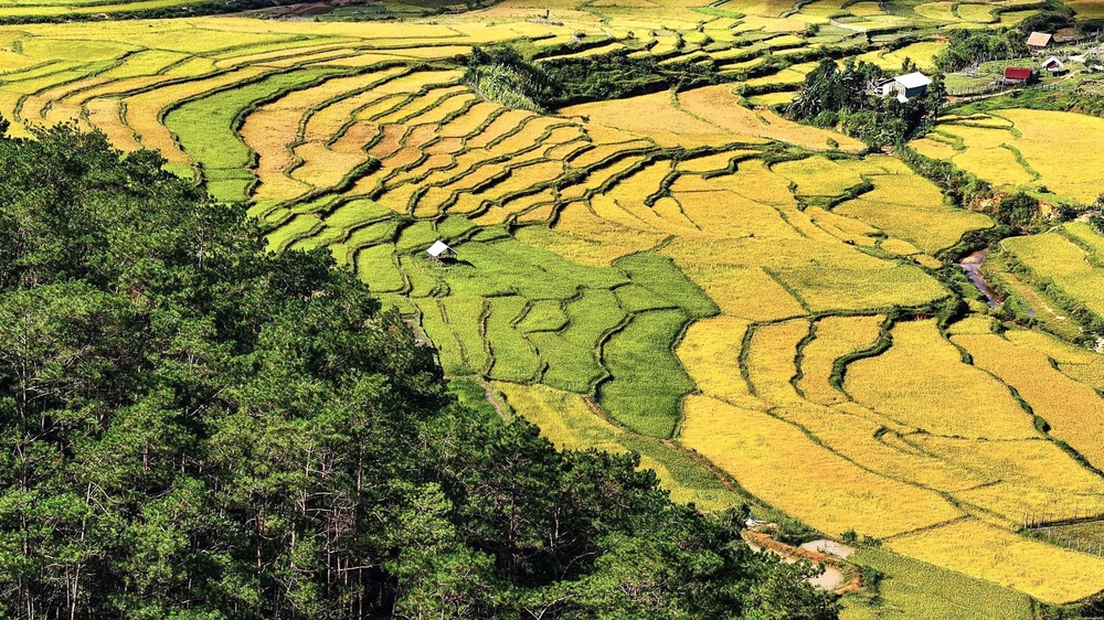 ‘Giải mã’ mắt xích trong chính sách đất đai cho đồng bào dân tộc thiểu số- Ảnh 5.