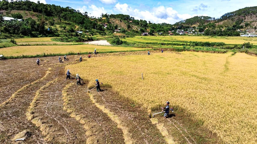 ‘Giải mã’ mắt xích trong chính sách đất đai cho đồng bào dân tộc thiểu số- Ảnh 6.